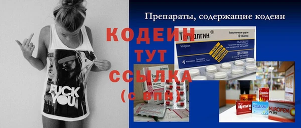 твердый Володарск