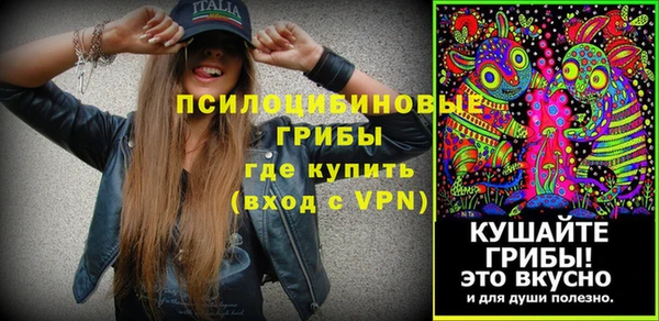 гидропоника Алзамай