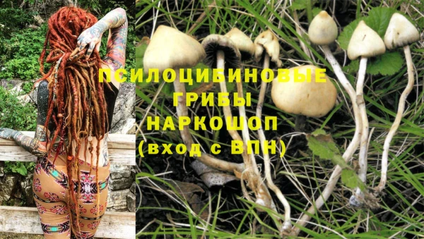 гидропоника Алзамай