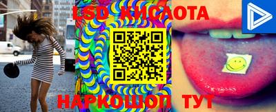 эйфоретик Новодвинск