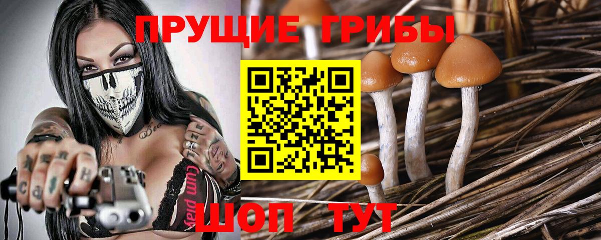 Галлюциногенные грибы мицелий Сосновоборск