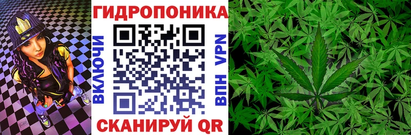 hydra как войти  Сосновоборск  Конопля VHQ 